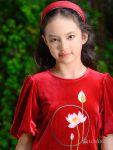 Áo dài nhung cộc tay thêu hoa sen màu cherry red (2)